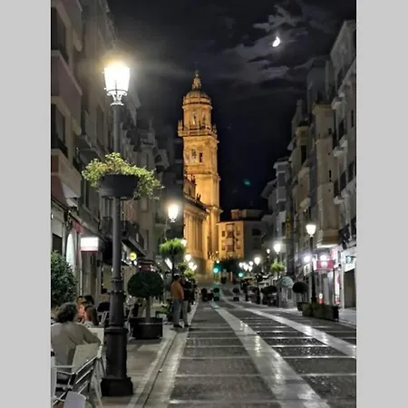 Atico Singular En El Centro Historico.