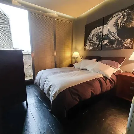 Atico Singular En El Centro Historico. Apartment *