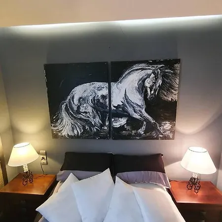 Apartamento Atico Singular En El Centro Histórico. Jaén